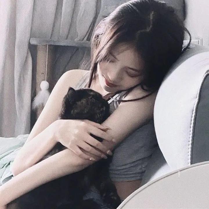 荡妇姬黛